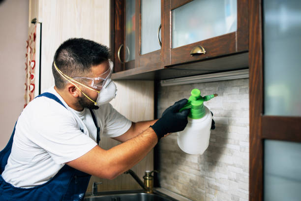 Best Pest Inspection Near Me  in Woody, WA