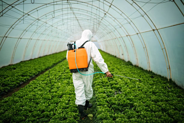 Pest Control for Restaurants in Woodway, WA