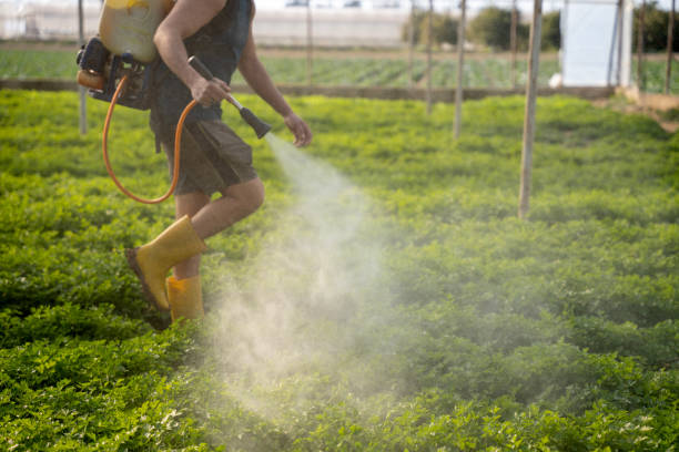 Best Exterminator Services  in Woody, WA