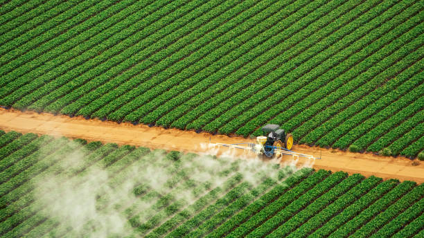Best Commercial Pest Control Services  in Woody, WA