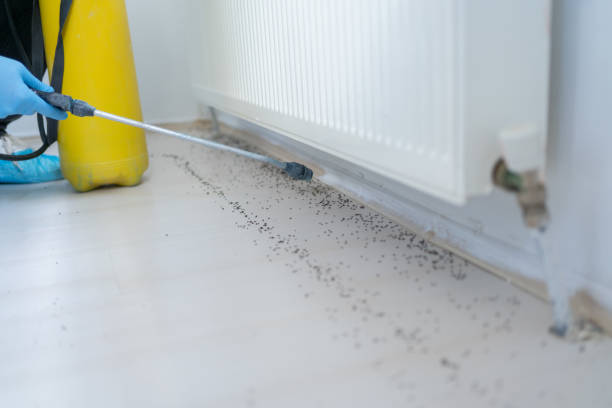 Best Wildlife Control Services  in Woody, WA